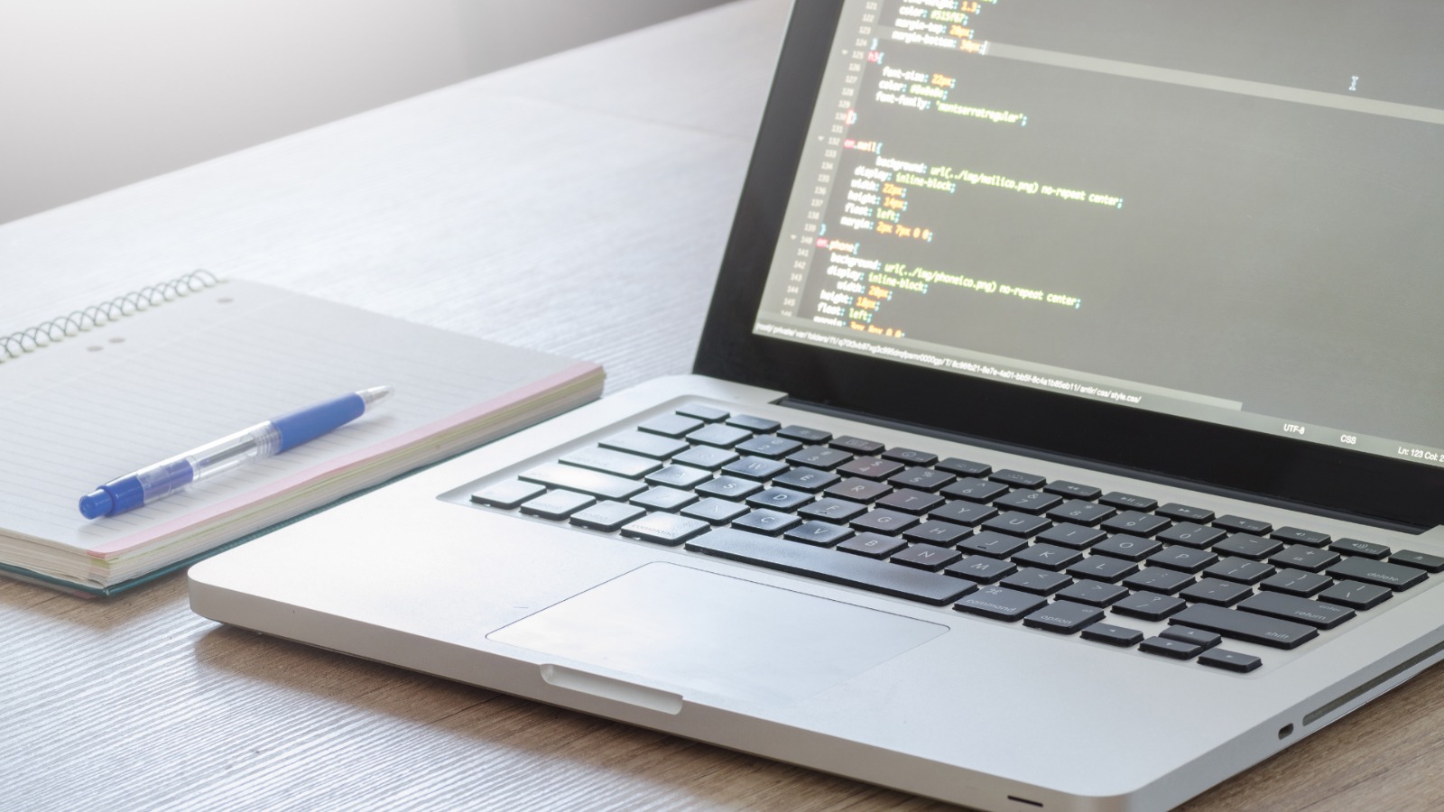 Web Development